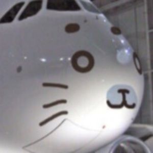 Meet your Posher, Mel